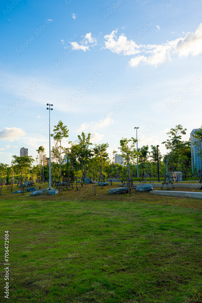 Obraz premium Meadow green grass in city public park downtown leiture sunset sky with cloud