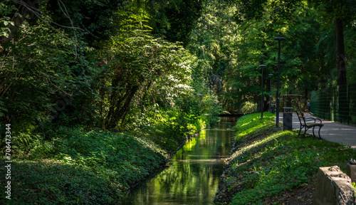 green forest park next to the thermal baths in Heviz  Hungary