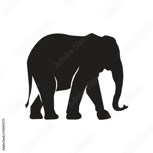 Fototapeta Naklejka Na Ścianę i Meble -  vector elephant silhouette collection