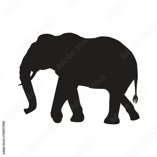 vector elephant silhouette collection