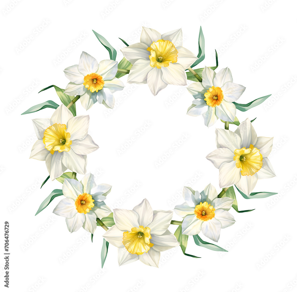 Watercolor narcissus frame, wreath spring. Illustration clipart isolated on white background.