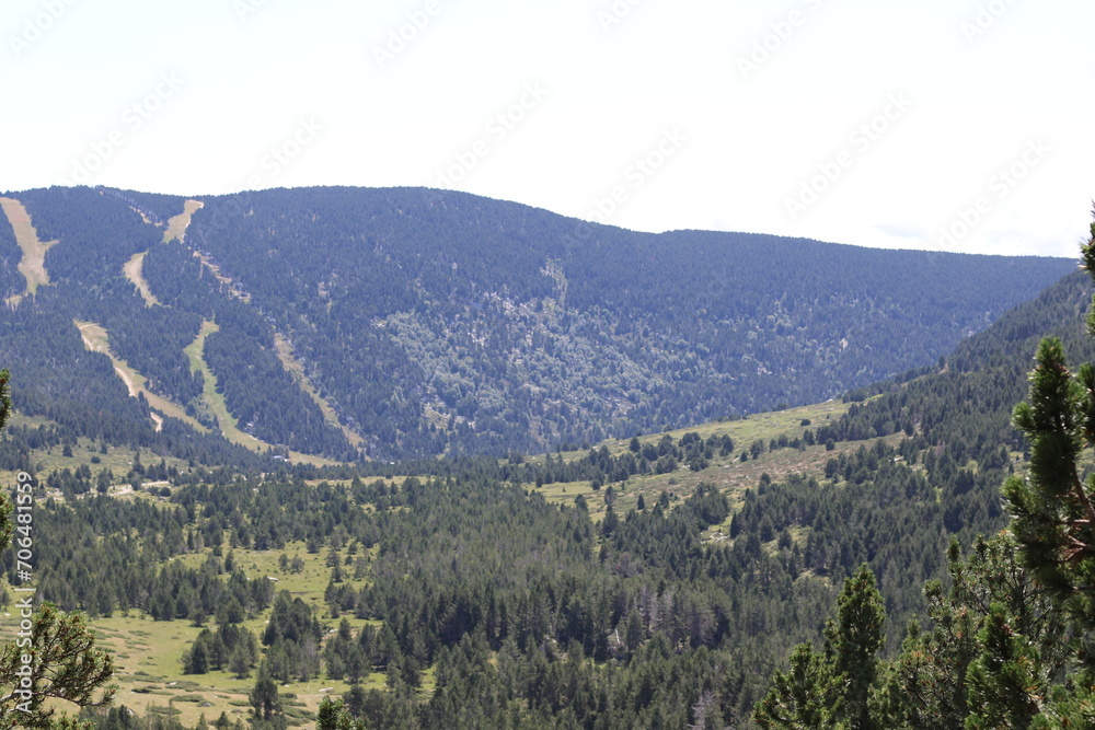 Naklejka premium mountain scenery with trees and roads
