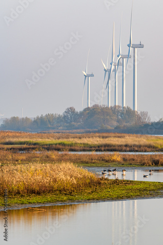 Nature area Scheelhoek with  bird nesting islands in the Haringvliet on the north edge of Goeree-Overflakkee in the Netherlands. A windpark with large windturbines stands in the background.