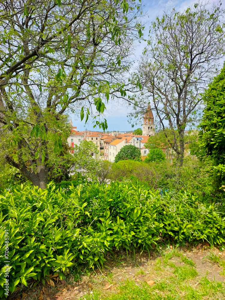 Naklejka premium Croatia, Zadar, old town, plants