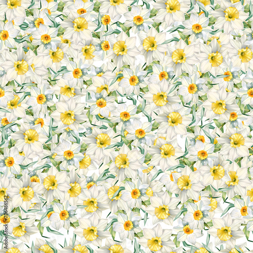 Watercolor narcissus, spring seamless pattern, watercolor illustration, background.