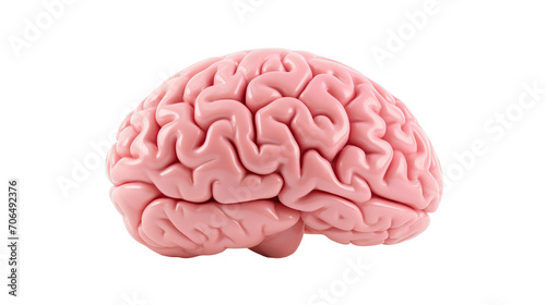 3D image of human brain on transparent background