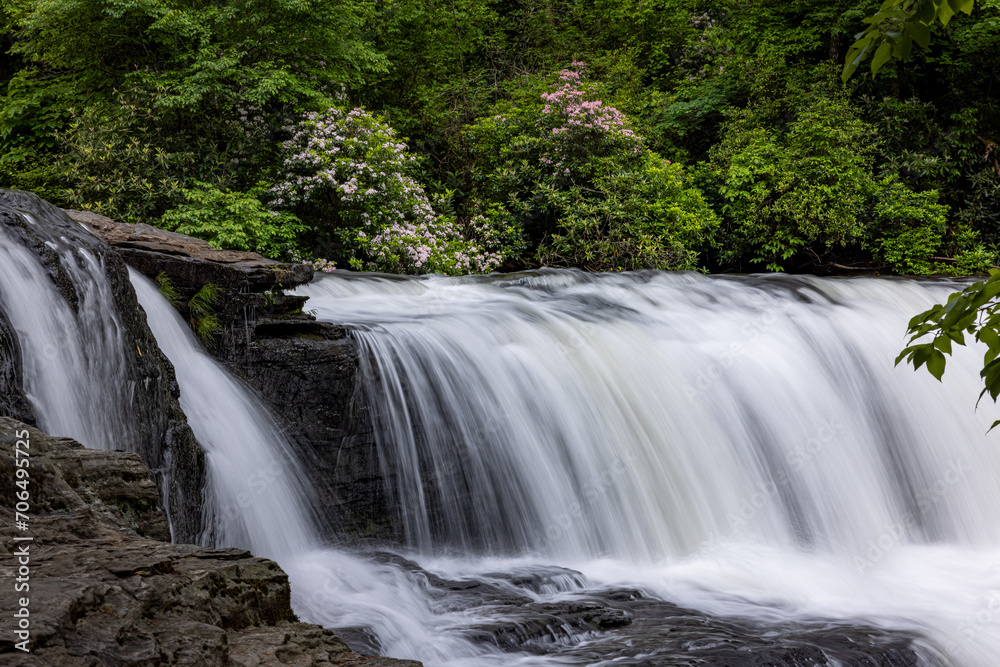 Fototapeta premium Beautiful Hooker falls with mountain laurel blloming nearby