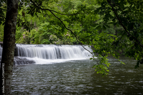 Hooker Falls surrounded by trees and mountain laurel in Dupont Forest1