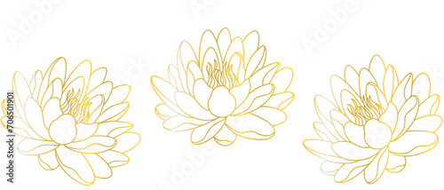 Lotus flower line art style vesak day vector with transparent background eps