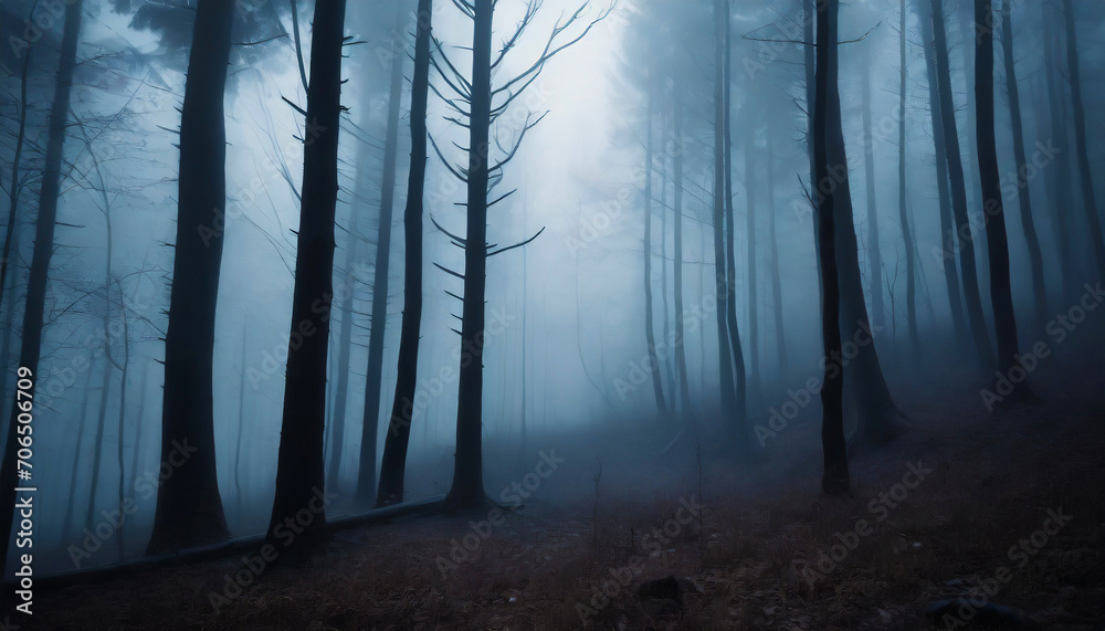 Naklejka premium foggy forest in a mystical atmosphere