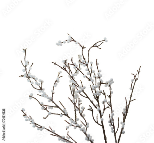 christmas decoration rowan branches on a white background