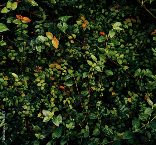 Lush foliage ivy background 