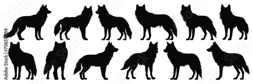 Wolf silhouettes set  large pack of vector silhouette design  isolated white background