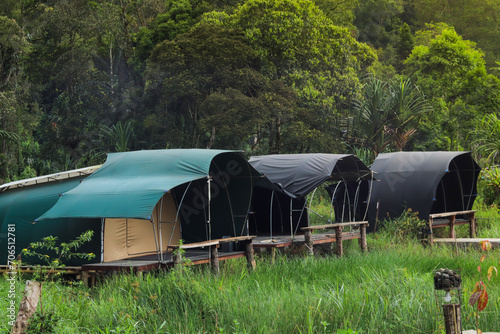 glamping concept that is one with nature, surrounded by tropical rainforests