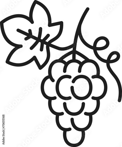 Grape berries isolated bunch with leaves outline icon. Vector vegetarian food dessert, isabella grape, sweet muscat cluster. Organic ripe grape berries photo