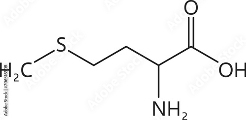 Vitamin U, or methylmethioninesulfonium chloride formula, derivative of methionine, consists of carbon, hydrogen, sulfur, and chlorine atoms arranged in a specific molecular structure, vector scheme