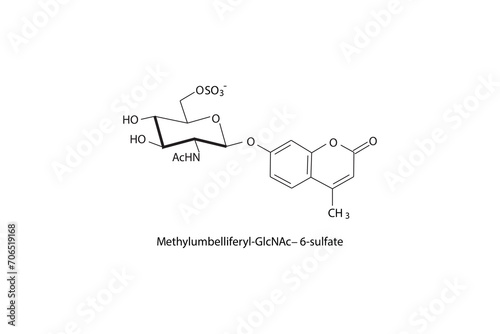 Molecular structure diagram of Methylumbelliferyl-GlcNAc−6-sulfate white Scientific vector illustration.
