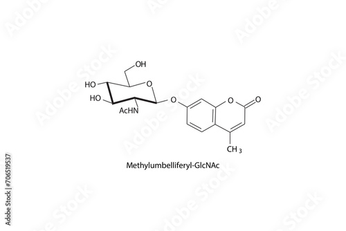 Molecular structure diagram of Methylumbelliferyl-GlcNAc white Scientific vector illustration.