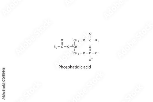 Molecular schematic structure of Phosphatidic acid. White Scientific vector illustration.