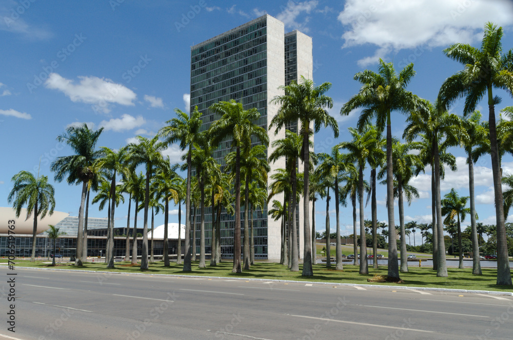 Obraz premium Palm trees and building at Brasilia, capital federal of Brazil (Esplanada dos ministerios).