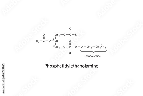 Molecular schematic structure of Phosphatidylethanolamine. White Scientific vector illustration.
