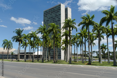 Palm trees and building at Brasilia  capital federal of Brazil  Esplanada dos ministerios .