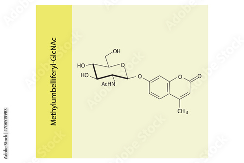Molecular structure diagram of Methylumbelliferyl-GlcNAc yellow Scientific vector illustration.