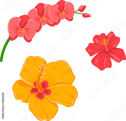 Two colorful tropical flowers, red hibiscus and orange-yellow orchid. Floral design for summer graphics vector illustration. photo