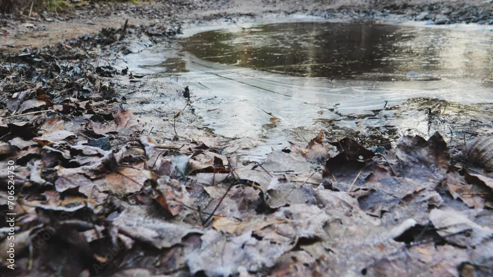 A frozen puddle on a woodland path. The ice covered puddle is in the middle of the trail and is surrounded by frost covered leaves. There is a reflection in the ice. A frozen puddle on a woodland path. The ice covered puddle is in the middle of the trail and is surrounded by frost covered leaves. There is a reflection in the ice.