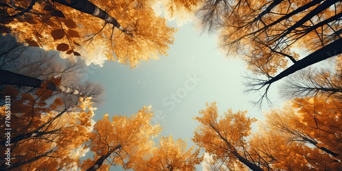 Extremely detailed nature macro closeup photo