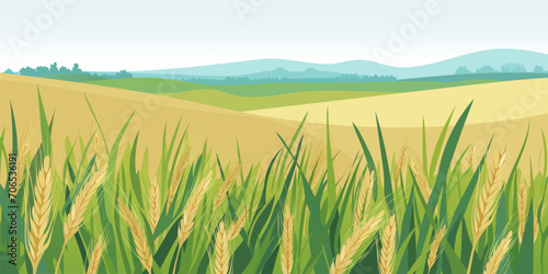 Beautiful summer landscape with a field of ripe wheat, hills, meadows and glades in the background. Wheat branches for design, poster, banner or print.