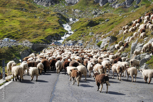 Traffic jam on the Furka pass