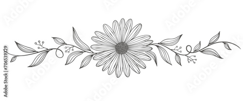 Outline Floral Botany. flower vector drawings. Black and white floral line art on transparent backgrounds. Hand Drawn Botanical Illustrations.Vector.