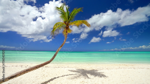 tropischer Strand mit gebogener Palme © Jenny Sturm