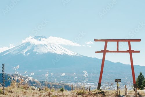 Fuji Mountain with Torii Japan