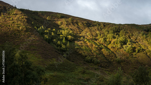 Rayon de soleil à flan de colline
