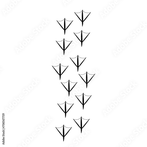 vector duck track footprint isolated on white background animal paw print