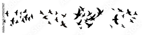 A set of Silhouette of a flock of birds flying together on a transparent background PNG © Asiri