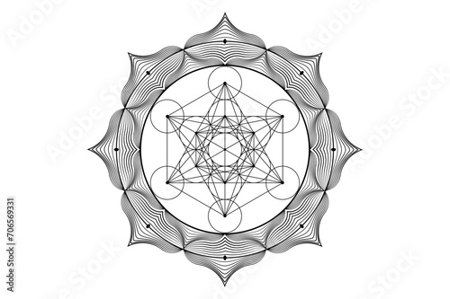 Sacred mandala of Metatrons Cube, Mystical Flower of Life. Sacred geometry, graphic element Vector isolated Illustration. Mystic icon platonic solids, abstract geometric drawing, typical crop circles