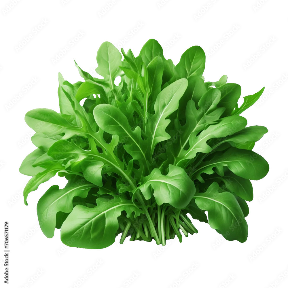 Obraz premium Fresh green roquette arugula png isolated on transparent background Ai generative.