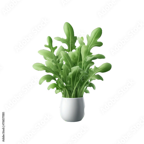 Fresh green roquette arugula png isolated on transparent background Ai generative.