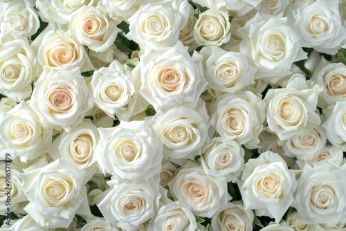 White roses background © Simone