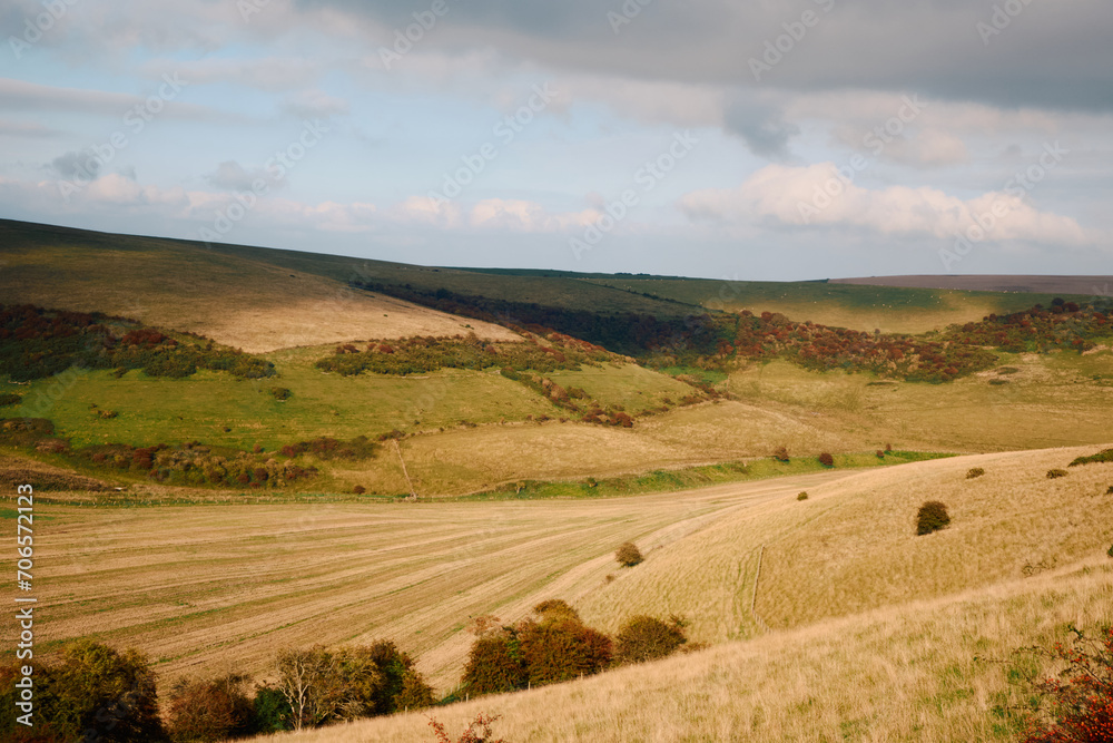 landscape with a field and sky