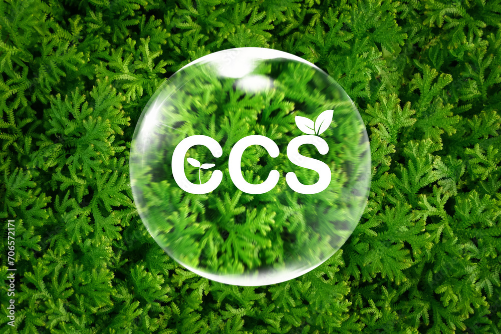 Carbon Capture Storage, CCS text inside of bubble on green Selaginella ...
