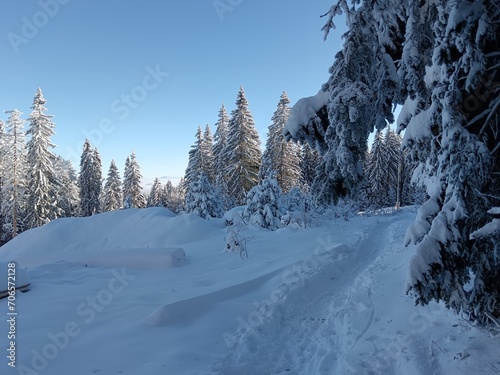 winter landscape in the mountains © Sergey