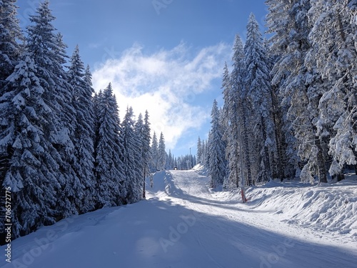 winter landscape in the mountains