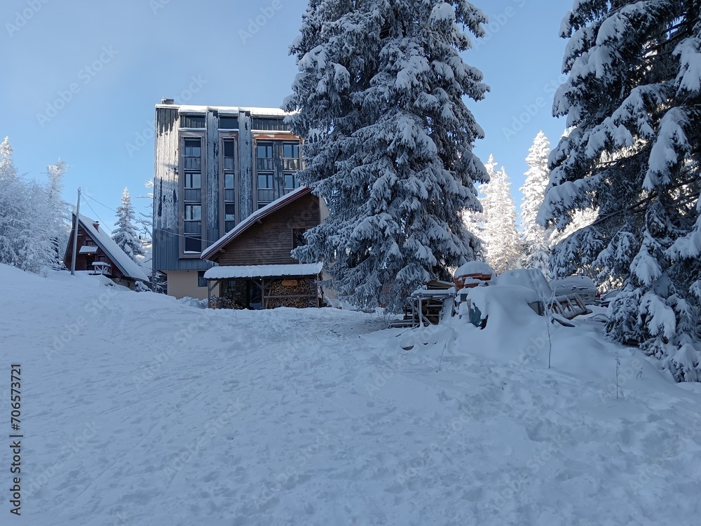 Fototapeta premium snow covered house