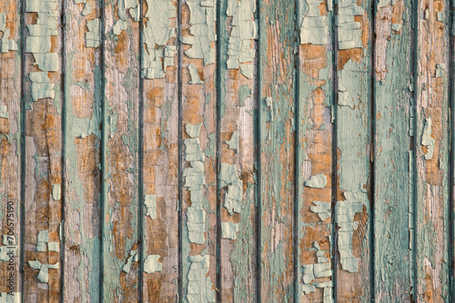 Wooden plank vintage bungalow wall with old weathered peeling paint closeup as grunge background © varbenov