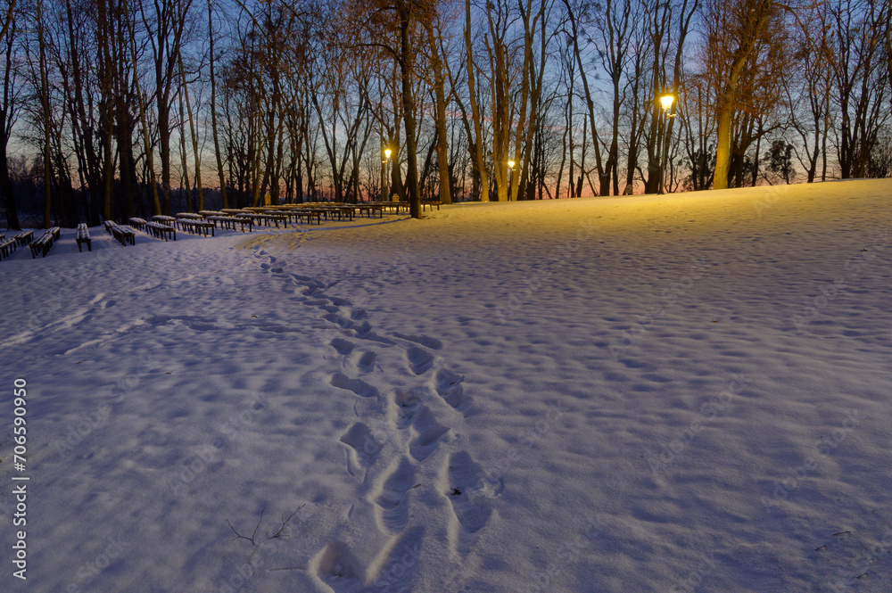 Ślady na śniegu w parku, wieczorny spacer. - obrazy, fototapety, plakaty 