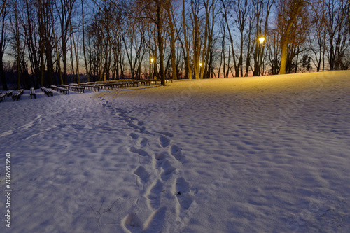 Ślady na śniegu w parku, wieczorny spacer.